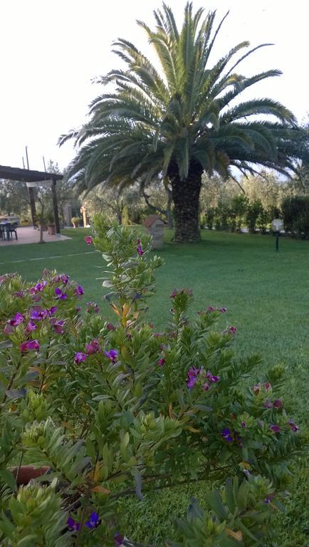Agriturismo Valbona Villa Castiglione della Pescaia Bagian luar foto